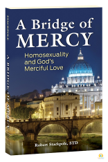A Bridge of Mercy